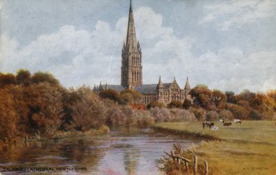 Cattedrale di Salisbury da Alfred Robert Quinton