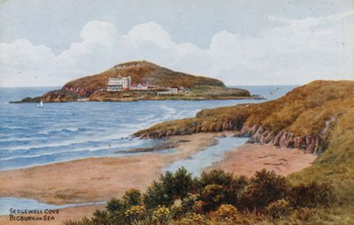 Sedgewell Cove, Bigbury-on-Sea da Alfred Robert Quinton