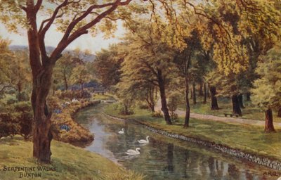Passeggiate serpentine, Buxton da Alfred Robert Quinton