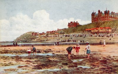 Sheringham, la spiaggia e le scogliere da Alfred Robert Quinton