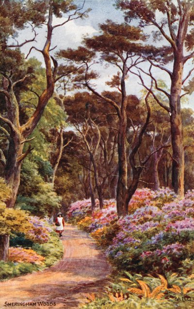 Boschi di Sheringham da Alfred Robert Quinton