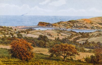 Teignmouth e Shaldon, da Haldon Moor da Alfred Robert Quinton