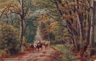Il viale di Tennyson vicino a Haslemere da Alfred Robert Quinton