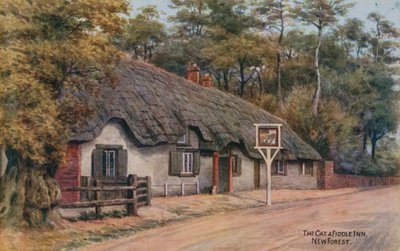 Il gatto e il violino, New Forest da Alfred Robert Quinton