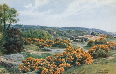 Il Comune, Tunbridge Wells da Alfred Robert Quinton