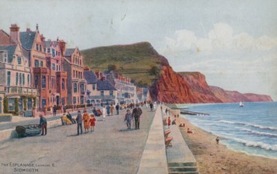 La Passeggiata, Vista E, Sidmouth da Alfred Robert Quinton