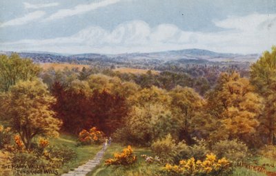 La valle felice, Tunbridge Wells da Alfred Robert Quinton