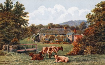 Il vecchio mulino, Lyme Regis da Alfred Robert Quinton