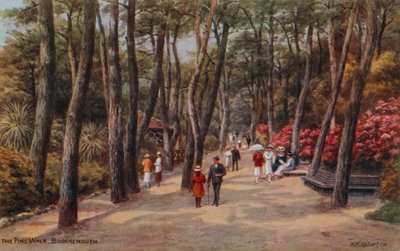 Il Viale dei Pini, Bournemouth da Alfred Robert Quinton