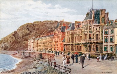 La passeggiata, Aberystwyth da Alfred Robert Quinton