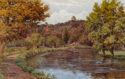 Il fiume Wey, Guildford da Alfred Robert Quinton