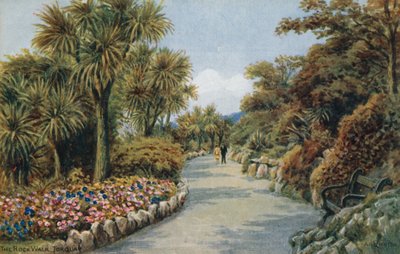 La passeggiata sulla roccia, Torquay da Alfred Robert Quinton