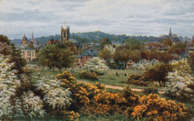 Tunbridge Wells dal The Common da Alfred Robert Quinton