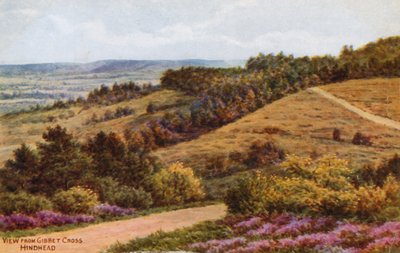 Vista da Gibbet Cross, Hindhead da Alfred Robert Quinton