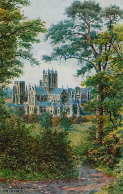 Cattedrale di Wells, da Tor Hill da Alfred Robert Quinton