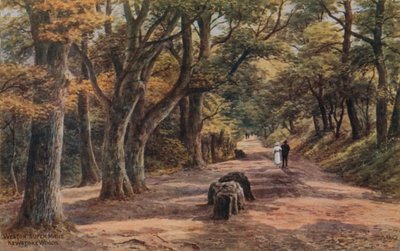 Weston-Super-Mare, Kewstoke Woods da Alfred Robert Quinton