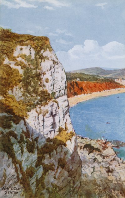 Scogliera bianca, Seaton da Alfred Robert Quinton