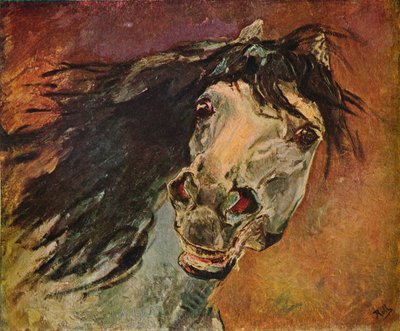 Testa di cavallo andaluso, c1910 da Alfred Roll