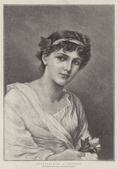 Ortensia da Alfred Seifert