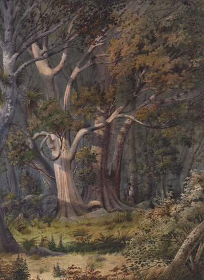 Luogo di sepoltura di Hone Heke, Bay of Islands da Alfred Sharpe