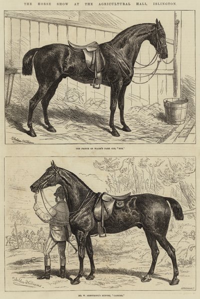 La mostra dei cavalli alla Agricultural Hall, Islington da Alfred Sheldon Williams