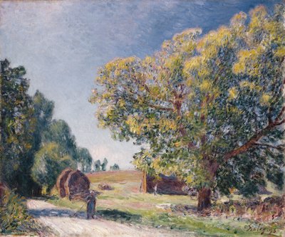 Una radura in una foresta, 1895 da Alfred Sisley
