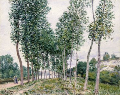 Viale di Pioppi lungo il Loing da Alfred Sisley