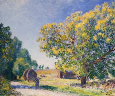 Intorno alla Foresta, una Radura da Alfred Sisley
