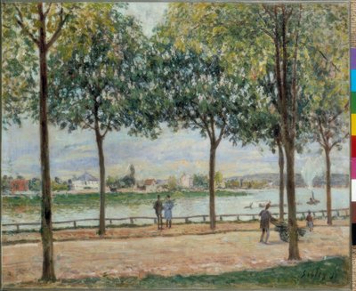Passeggiata dei castagni da Alfred Sisley