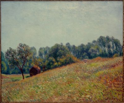 La Valle da Alfred Sisley