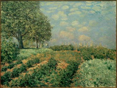 I campi da Alfred Sisley