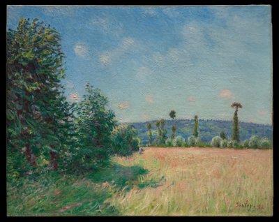 I prati di Sahurs al sole del mattino da Alfred Sisley