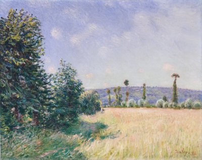 Prati di Sahurs al sole del mattino da Alfred Sisley