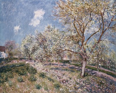 Primavera a Veneux, 1880 da Alfred Sisley