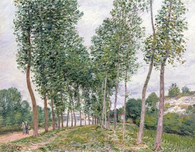 Il viale dei pioppi lungo le rive del Loing da Alfred Sisley