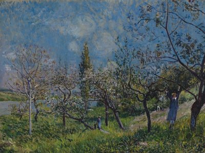 Frutteto in primavera da Alfred Sisley