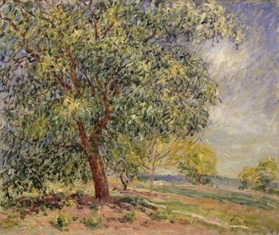 Noce a Sablons in primavera, 1885 da Alfred Sisley