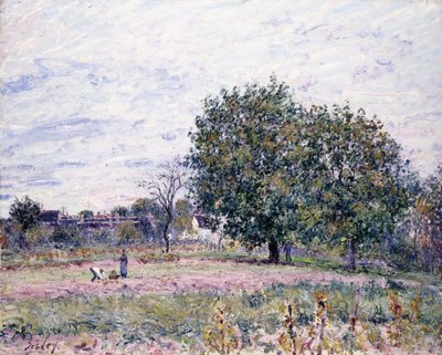 Alberi di noce, effetto del tramonto - Primo giorno di ottobre, 1882 da Alfred Sisley