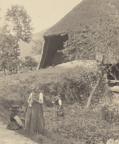  da Alfred Stieglitz