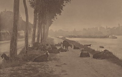  da Alfred Stieglitz
