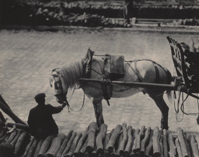  da Alfred Stieglitz