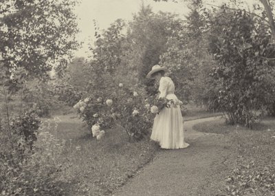  da Alfred Stieglitz