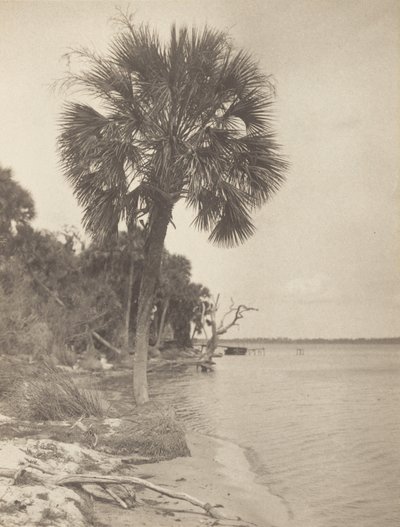  da Alfred Stieglitz