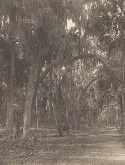  da Alfred Stieglitz