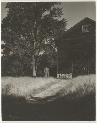 Fienile, Lago George da Alfred Stieglitz