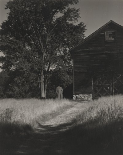 Fienile, Lake George da Alfred Stieglitz