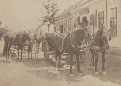  da Alfred Stieglitz