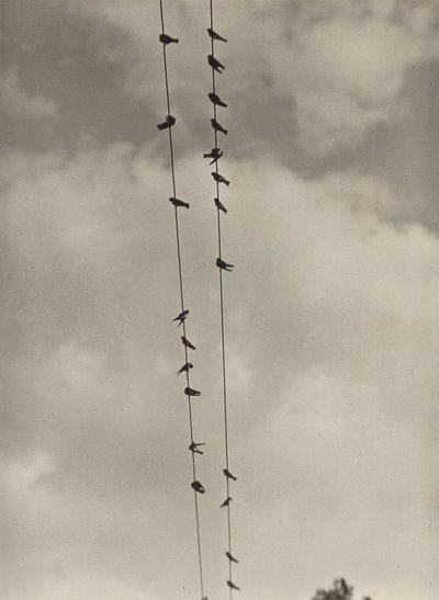  da Alfred Stieglitz