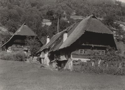  da Alfred Stieglitz
