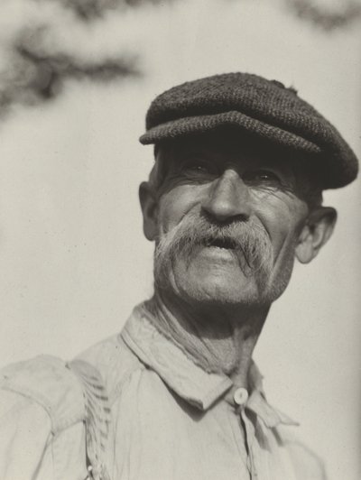  da Alfred Stieglitz
